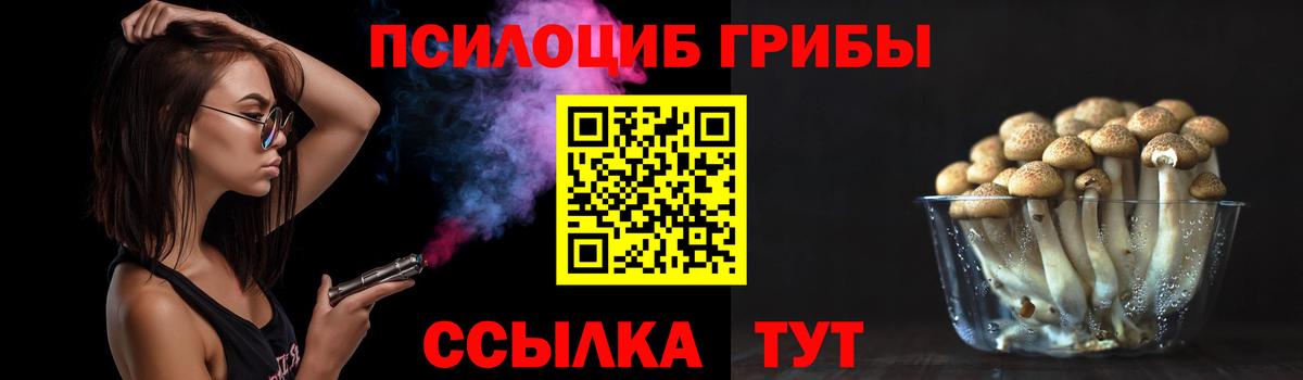 Нурлат  Псилоцибиновые грибы Psilocybine cubensis  Вход с VPN  Псилоцибиновые грибы Magic Shrooms 
